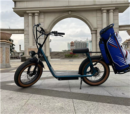 Golf  Electric scooter 20inch Fat Tire Electric Scooter